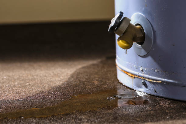 Best Flood restoration services  in Little Ferry, NJ