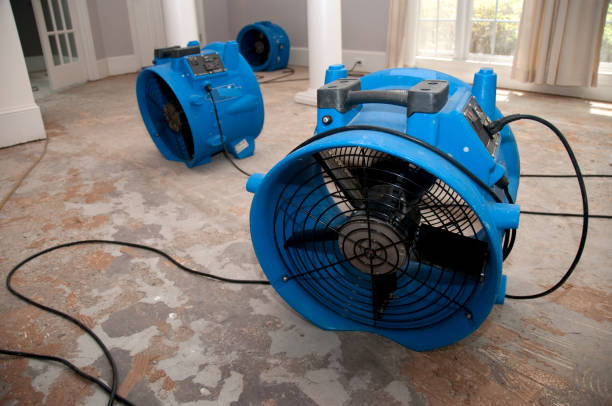 Water damage restoration insurance claims in Little Ferry, NJ
