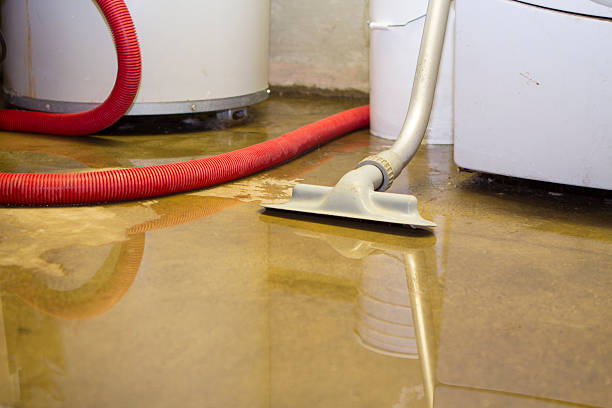 Best Ceiling water damage repair  in Little Ferry, NJ