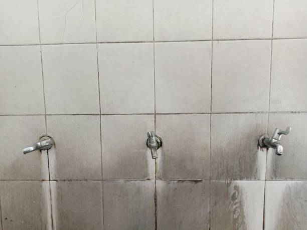 Best Water damage contractors near me  in Little Ferry, NJ