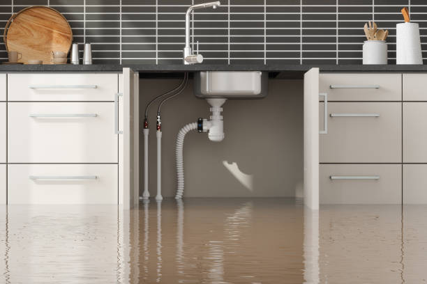 Best Water damage restoration company  in Little Ferry, NJ