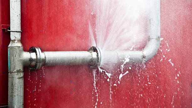 Best Mold removal after water damage  in Little Ferry, NJ